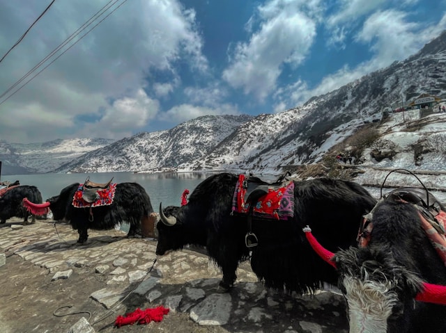 North Sikkim